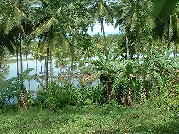 Calypso Resort Panglao